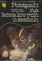 Potápači na koralových útesoch