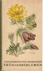 Taschenbuch der heimischen Frühjahrsblumen