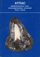 Атлас морфологических типов железомарганцевых ...