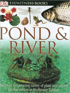 Eyewitness pond & river.