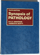 Synopsis of pathology.
