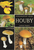 Houby