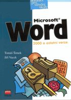Microsoft Word