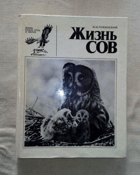 Жизнь сов