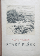 Starý Plšek