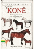 KONĚ Obrazový průvodce více než 100 plemeny koní z celého světa