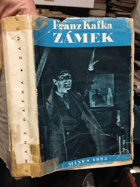 Zámek - román