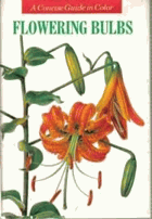 Flowering Bulbs