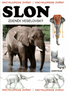 Der Elefant