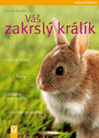 Váš zakrslý králík