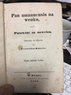 Pan amanuensis na wenku, aneb, Putowání za nowelou