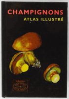 Champignons - atlas illustré
