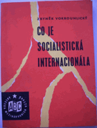Co je Socialistická internacionála.