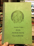 Pod junáckou vlajkou