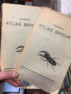 Kobrův atlas brouků I - II