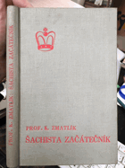 Šachista začátečník. Základy moderního šachu