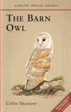 Barn Owl