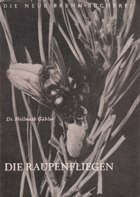 Die Raupenfliegen