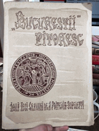 BUCURESTII PITORESE