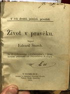 Život v pravěku. V říši draků, ještěrů a prvolidí.
