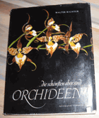...die schönsten aber sind Orchideen