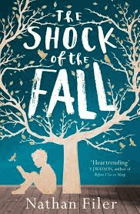 The shock of the fall