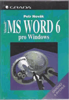 MS Word 6 pro Windows