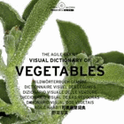 Vegetables. Agile Rabbit Visual Dictionary