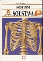 Kosterní soustava