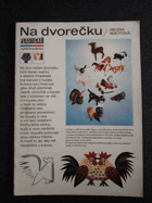 Na dvorečku.