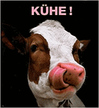 Kühe!