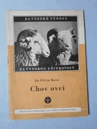 Chov ovcí.