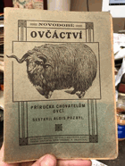 Novodobé ovčáctví
