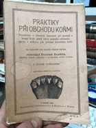 Praktiky při obchodu koňmi