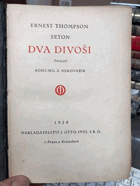 Dva divoši