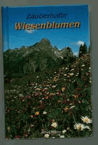 Zauberhafte Wiesenblumen