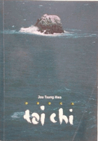 Droga tai chi