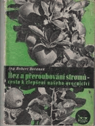 Řez a přeroubování stromů - cesta k zlepšení našeho ovocnictví