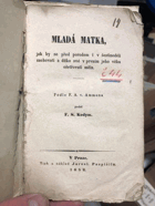 Mladá matka, jak by se před porodem i v šestinedělí zachovati a dítko své v prvním jeho ...
