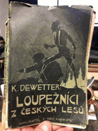Loupežníci z českých lesů