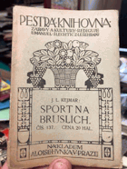 Sport na bruslích.