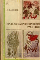 Кровоостанавливающие растения