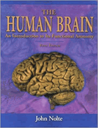 The Human Brain An Introduction to Its Functional Anatomy