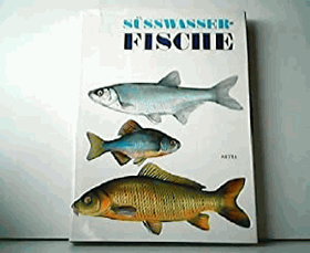 Süsswasserfische