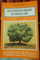 Reconocimiento de variedades de cítricos en campo