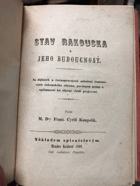 Stav Rakouska a jeho budoucnost
