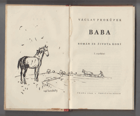Baba