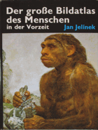 Das große Bilderlexikon des Menschen in der Vorzeit