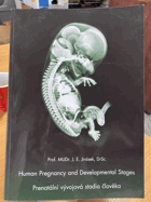 Prenatální vývojová stadia člověka - Human Pregnancy and Developmental Stages