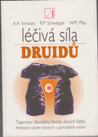 Léčivá síla druidů - tajemství dlouhého života starých Keltů